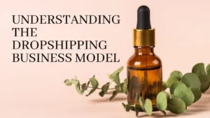 Read more about the article Understanding the Dropshipping Business Model