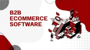 Read more about the article “B2B Ecommerce Software”: Decoding Complexity and Unleashing Dynamism