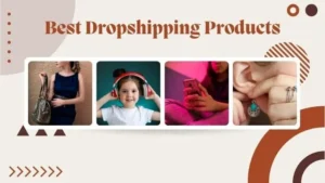 Read more about the article Best Dropshipping Products 2024: A Maze of Opportunities in E-commerce