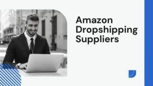 Read more about the article Amazon Dropshipping Suppliers: Navigating the E-commerce Labyrinth for 2024