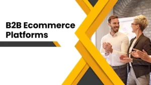 Read more about the article B2B Ecommerce Platforms: From Transactions to Transformation